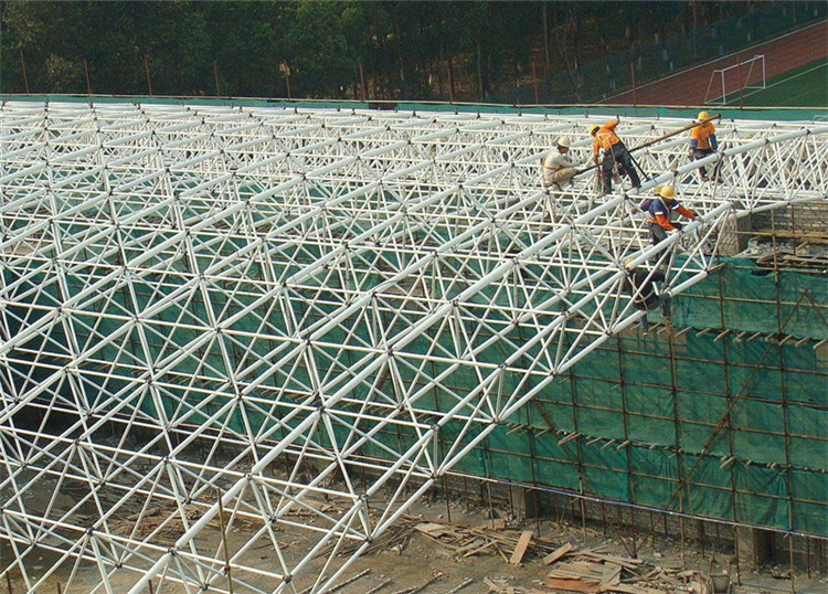 電廠(chǎng)網(wǎng)架加工工程案例